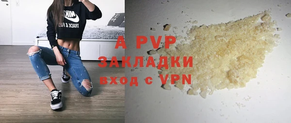 винт Богданович