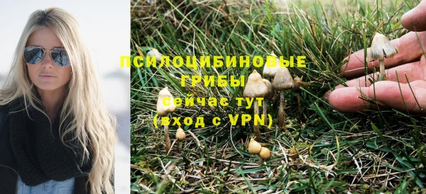 экстази Богородицк