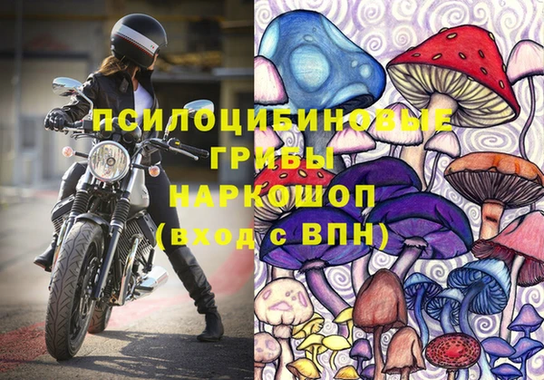 винт Богородск
